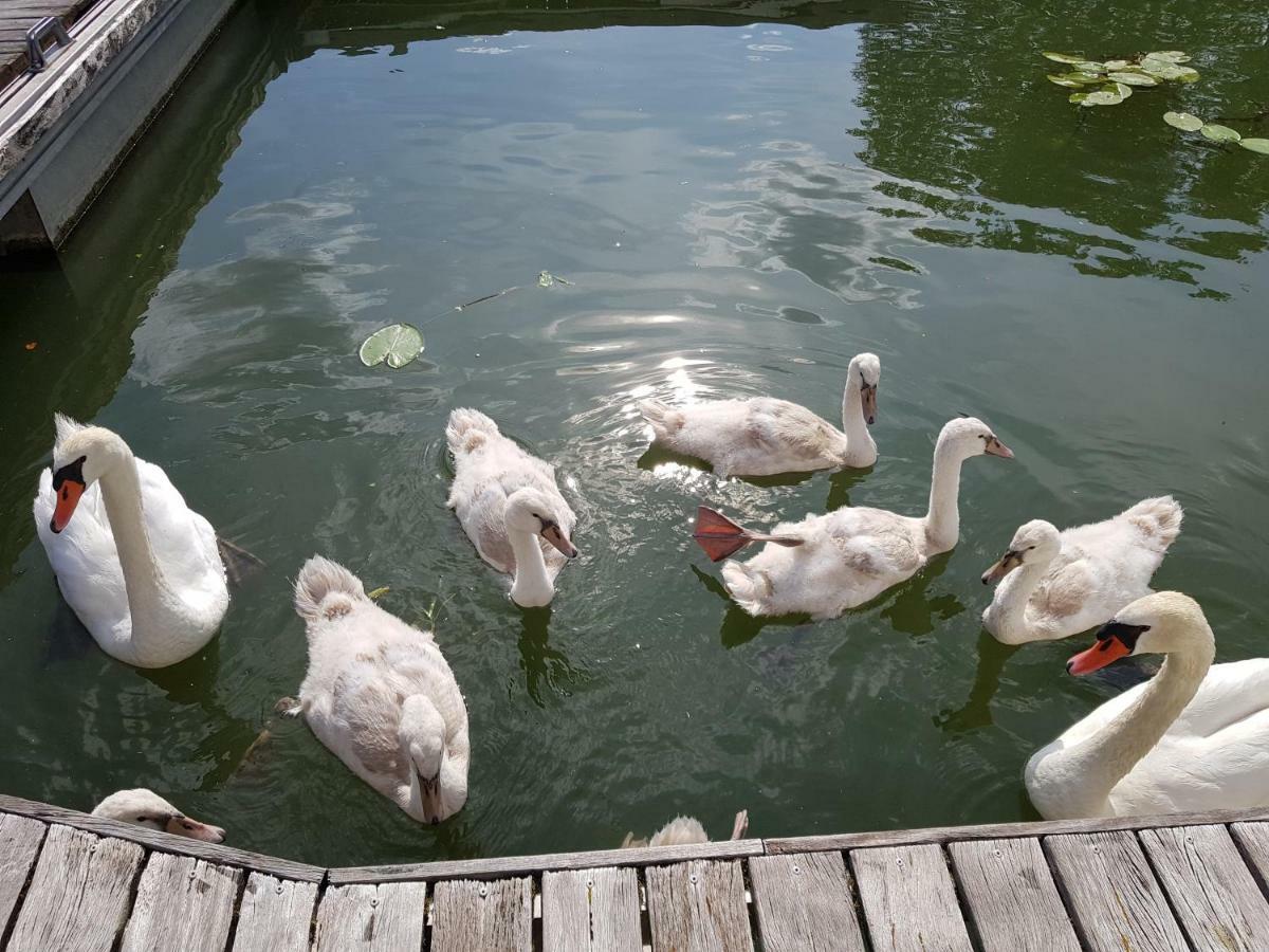 Cottage Flottant Saint Jean De Losne Option Jacuzzi المظهر الخارجي الصورة